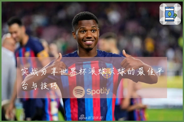 实战分享世界杯滚球买球的最佳平台与技巧
