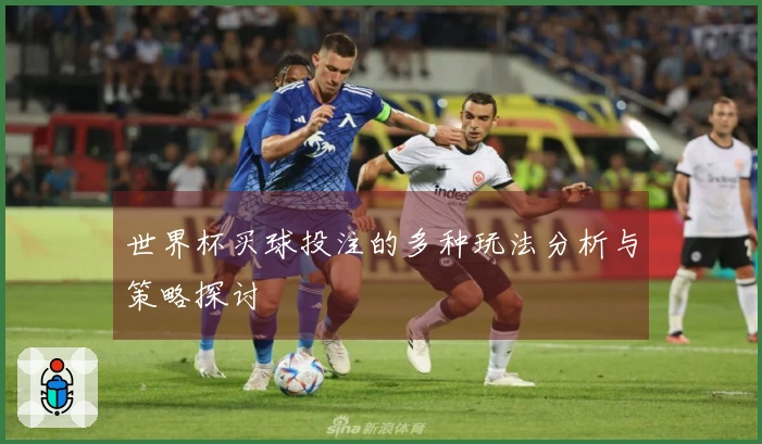 世界杯买球投注的多种玩法分析与策略探讨