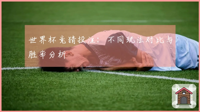 世界杯竞猜投注：不同玩法对比与胜率分析