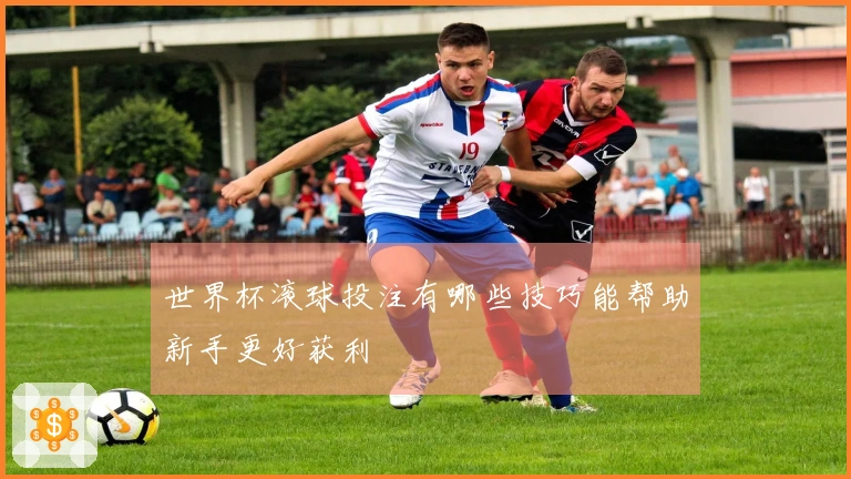 世界杯滚球投注有哪些技巧能帮助新手更好获利