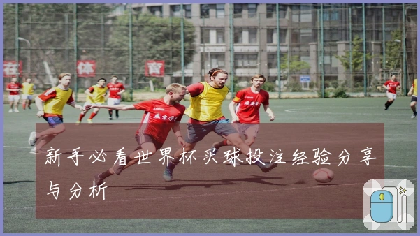 新手必看世界杯买球投注经验分享与分析