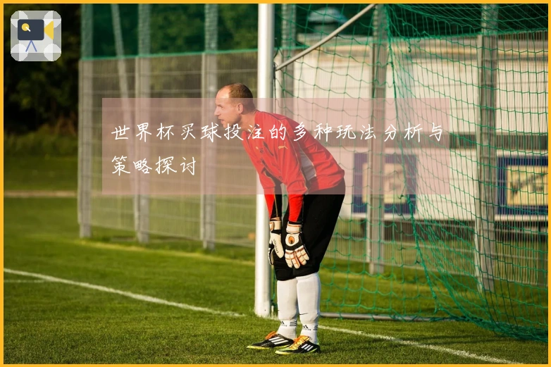 世界杯买球投注的多种玩法分析与策略探讨