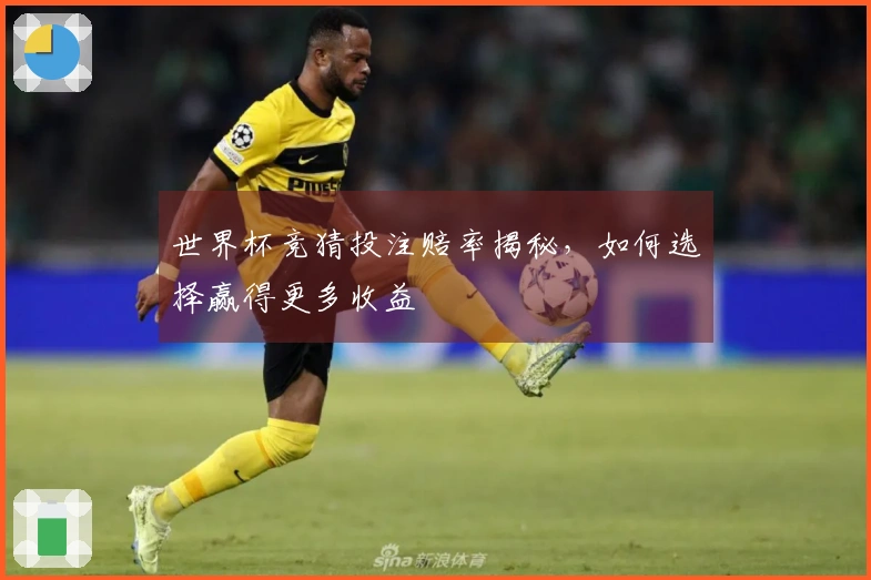 世界杯竞猜投注赔率揭秘，如何选择赢得更多收益