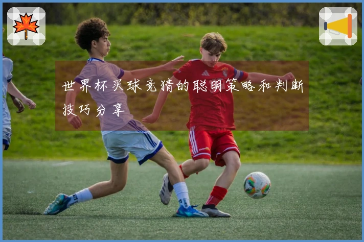 世界杯买球竞猜的聪明策略和判断技巧分享