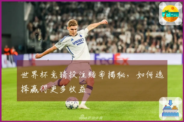 世界杯竞猜投注赔率揭秘，如何选择赢得更多收益