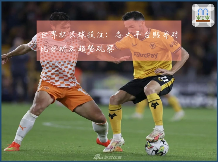 世界杯买球投注：各大平台赔率对比分析及趋势观察