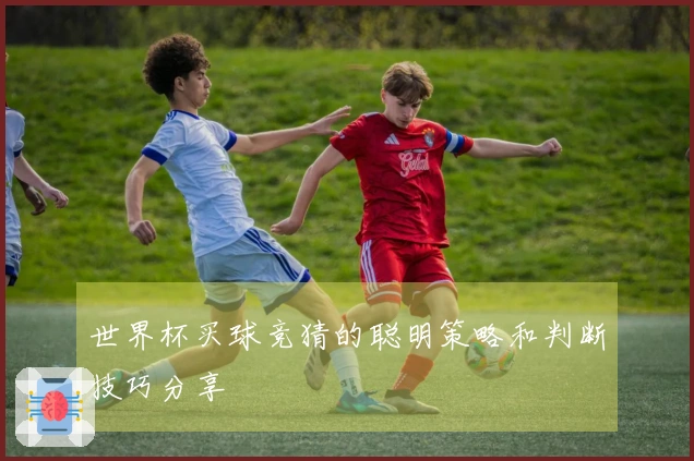 世界杯买球竞猜的聪明策略和判断技巧分享